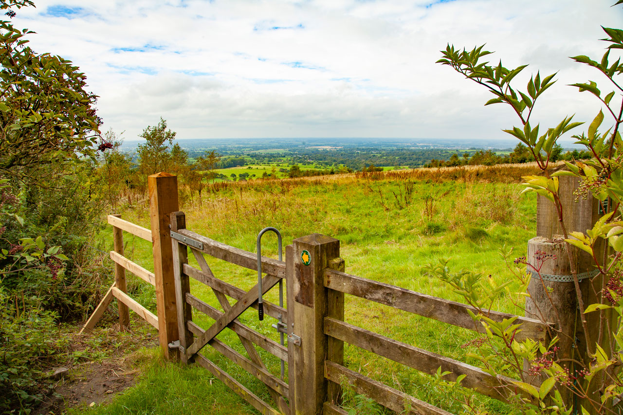 gateway leading to green fields